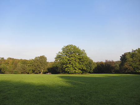 Naturschutzgebiete DE Wiesbaden Rabengrund IMG1122