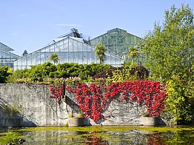 Neuer Botanischer Garten Marburg 002.jpg