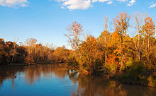 Neuse River in Wake County