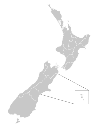 <span class="mw-page-title-main">District health board</span> Defunct health provider in New Zealand