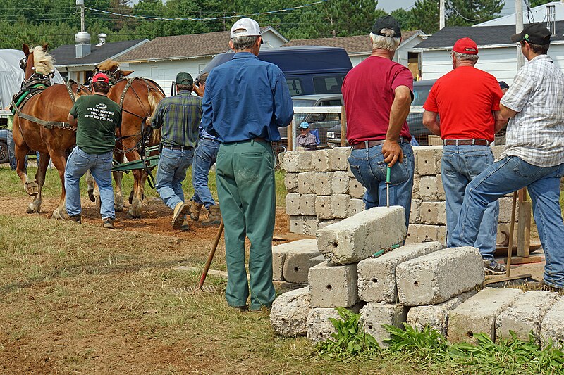 File:Nova Scotia DSC01630 - Country Fair - New Ross (7816135808).jpg