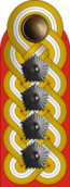 OF-10 Armeegeneral.png