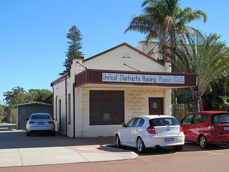 File:OIC osborne park pigeon club.jpg