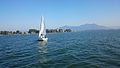 Chiemsee