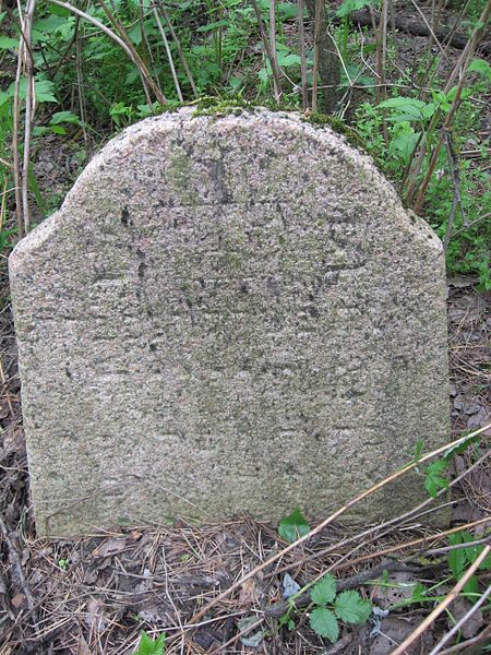 File:Old Jewish cemetery Starobin 02 (40).jpg