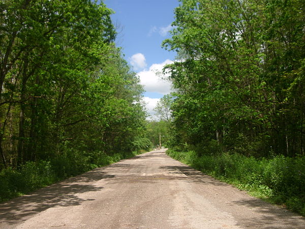 NY 17's former alignment in the town of Red House, abandoned and banned from traffic