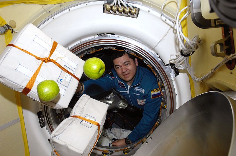 File:Oleg Skripoochka at ISS1.jpg