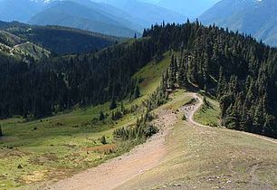 Hurricane Ridge Trail