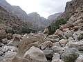 Vignette pour Wadi Tiwi