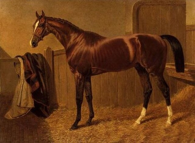 Orlando on whom Flatman won the controversial 1844 Derby