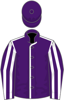 Ten Sovereigns Irish-bred Thoroughbred racehorse