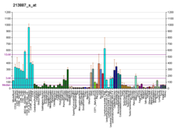 PBB GE POLR2E 213887 s bei fs.png