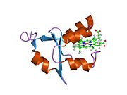 PDB 1f03 EBI.jpg