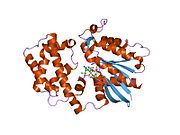 PDB 1svk EBI.jpg