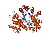 PDB 1vfl EBI.jpg