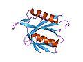 Thumbnail for Phosphotyrosine-binding domain