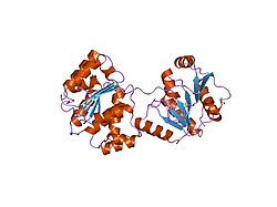 PDB 1xti EBI.jpg