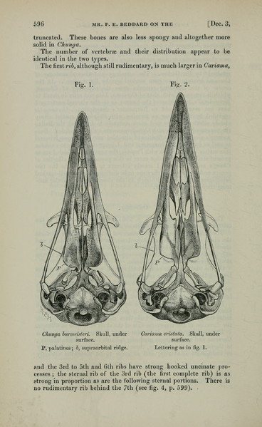 File:PZSL1889Page596.png