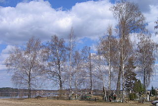 Pabezninkai Village in Alytus County, Lithuania