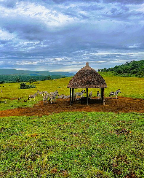 Image: Parc de la Vallée de la Nsele