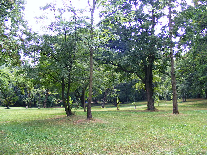 File:Park in Klimkówka bk08.JPG