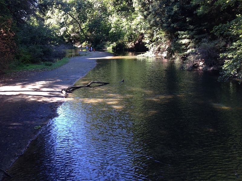 File:People on bank in San Lorenzo River.jpg