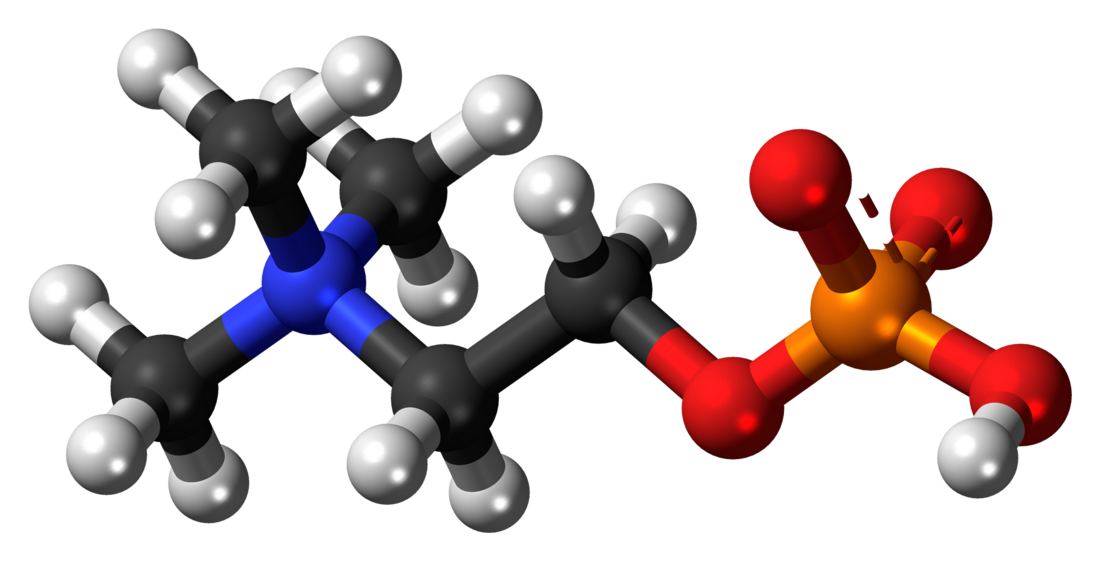 Phosphocholine