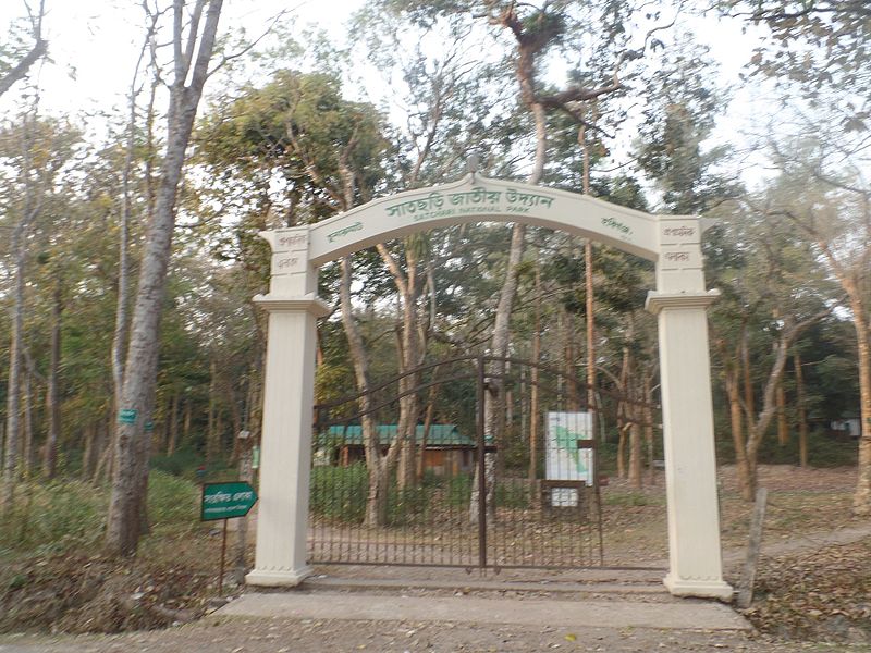 File:Picher 14 Satchari National Park.jpg