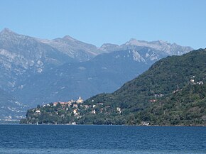 Pino sulla Sponda del Lago Maggiore.JPG