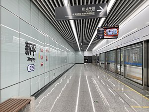 Platform Xinping Station.jpg