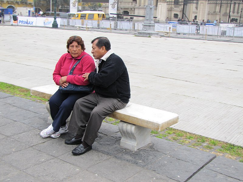 File:Plaza de Armas, Lima Peru (4869350623).jpg