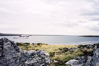 Port William, Falkland Islands inlet on East Falkland island