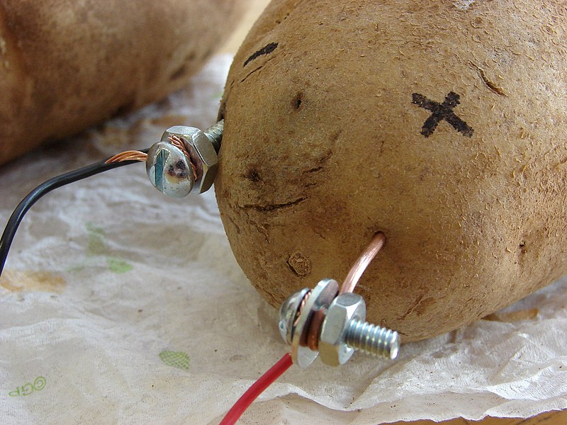 File:Potato-Battery-5495.jpg