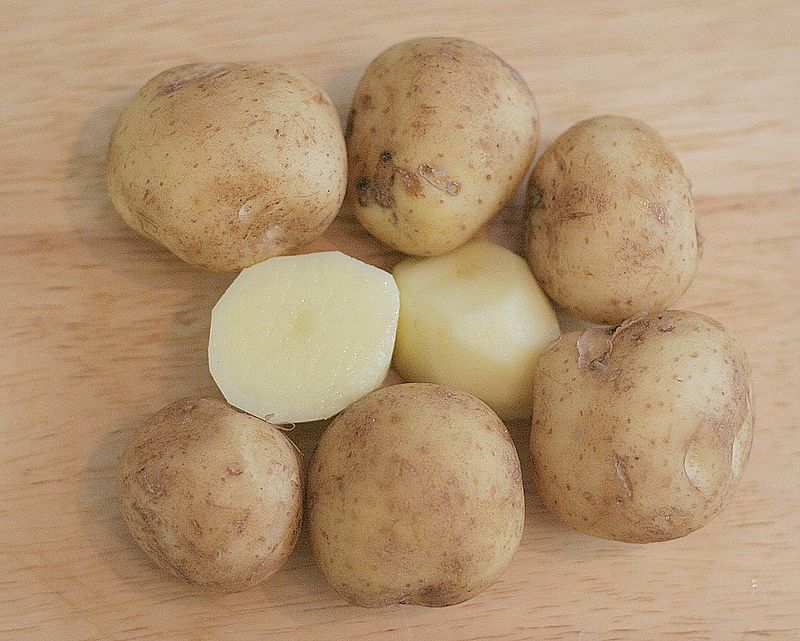 Russet potato - Wikipedia