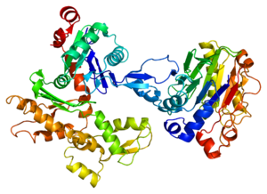 Rna-Binding Protein