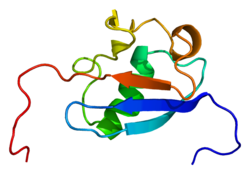 Ақуыз BAT3 PDB 1wx9.png