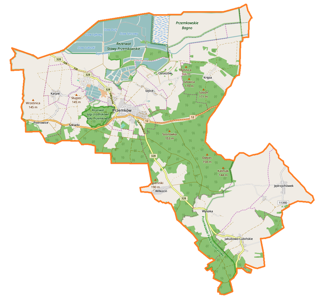 Mapa konturowa gminy Przemków, blisko centrum na lewo u góry znajduje się punkt z opisem „Przemków”