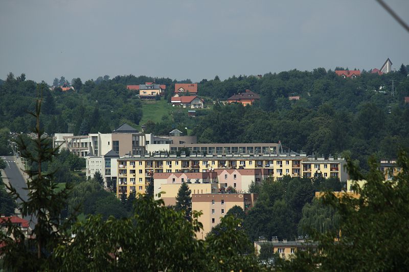 File:Przemyśl, zámek, pohled na zástavbu za Sanem.jpg