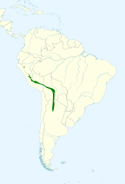 Psittacara mitratus map.svg