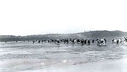 6.25 전쟁 당시 대동강을 건너 남하하는 피난민들. 1950년 12월 3일의 사진. 강물은 얼어붙기 직전이고, 얼음조각이 떠다녔다.