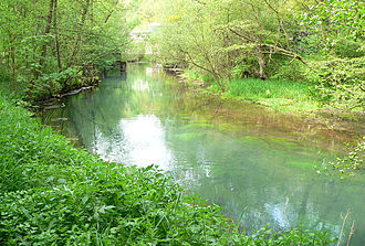 The Rhume a few metres behind its spring Rhume Verlauf.jpg