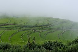 Rice Terraces In Yunnan (118645997).jpeg