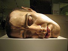 Ron Mueck fej.jpg