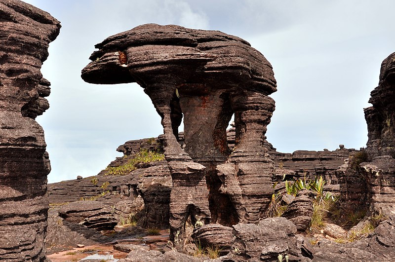 File:Roraima Elefante.jpg