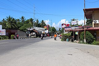 <span class="mw-page-title-main">Roxas, Zamboanga del Norte</span> Municipality in Zamboanga del Norte, Philippines