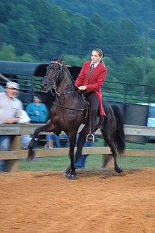 Flat-shod horse performing the running walk RunningWalk.jpg