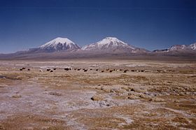 Вулканы Померапе (слева) и Паринакота (справа)