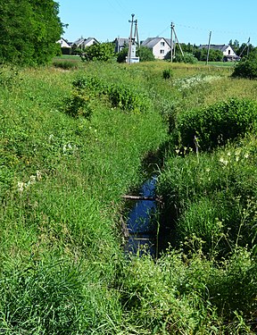 Sakuona Skaistgiriuose