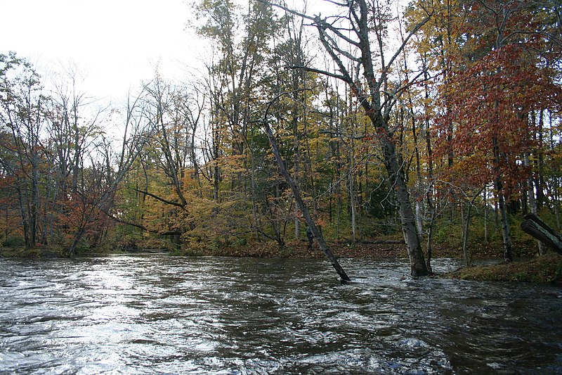 File:Salmon river high water - panoramio.jpg