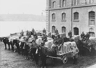 Hästdragna mjöltransporter 1898.